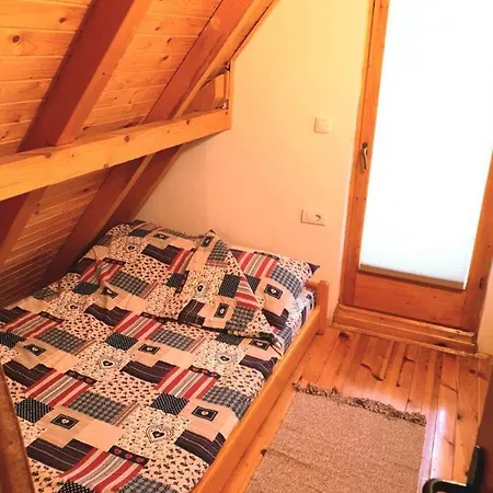 Lodge Borovi *