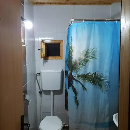 Borovi