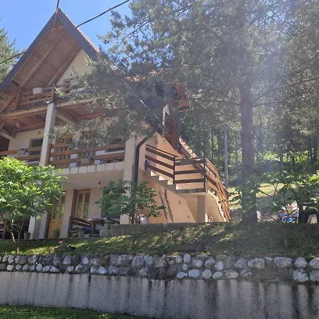 Borovi Chata Zaovine