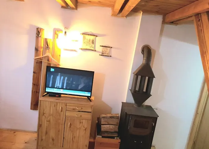 Borovi 山林小屋 *