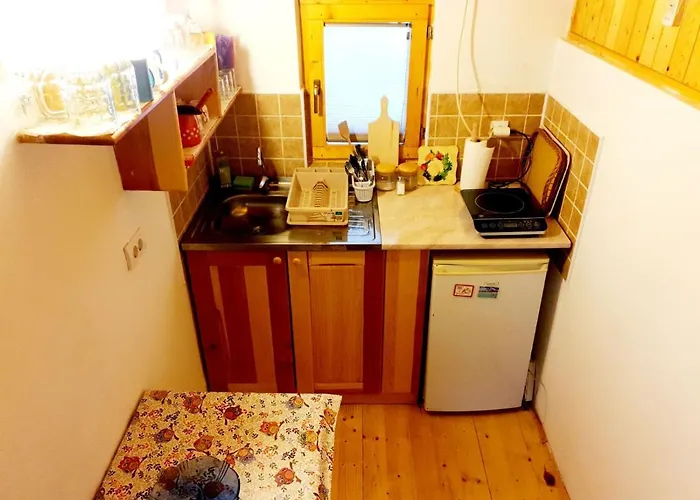 Borovi 山林小屋 Zaovine